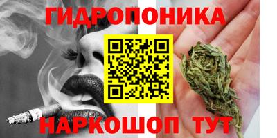 стафф Краснокаменск