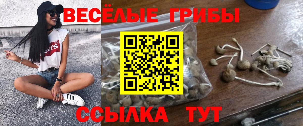 Галлюциногенные грибы прущие грибы Елизово