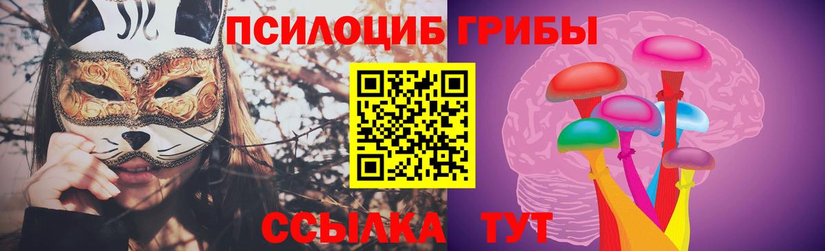 Елизово  Галлюциногенные грибы Psilocybe  Галлюциногенные грибы GOLDEN TEACHER  Вход с VPN 